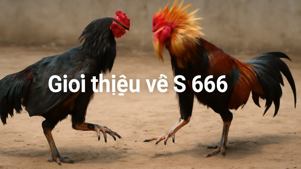 Minh họa: Giới thiệu về S 666